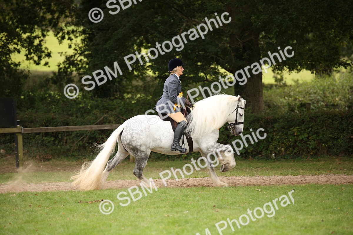 SBM_73667 - Ridden Horse Supreme Championship