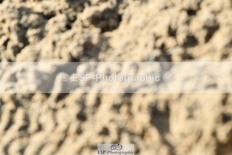 251004A-112725-00630 - Classes 4 & 5 50cm