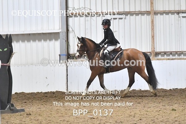 BPP_0137 - CLASS 3 40CM