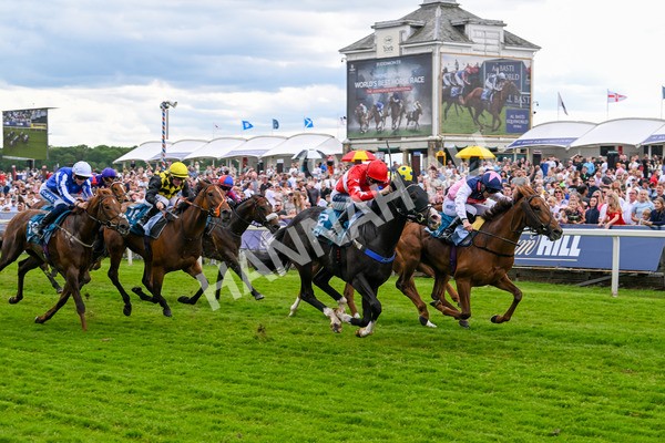 310525-Race 5-Frankies Dream-9867 - Race 5 3.50pm Reg Bond Always And Forever Handicap