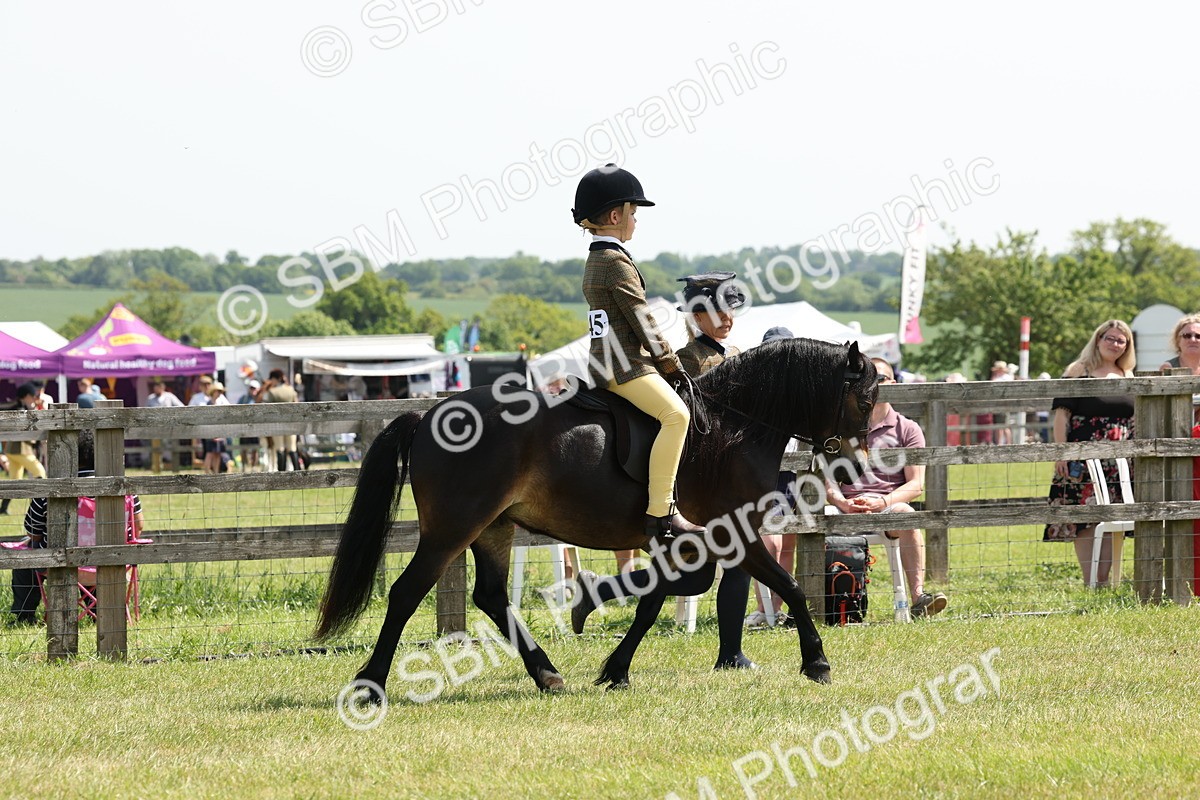 SBM_05204 - Class 24-25 - Mountain & Moorland In Hand Lead Rein and First Ridden