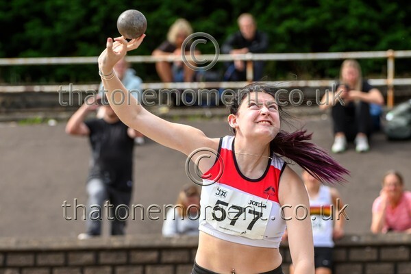 Sen25SUN-927838 - Field Female Set Two