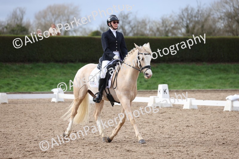 20260301-0631 - Class 4 - Novice 5