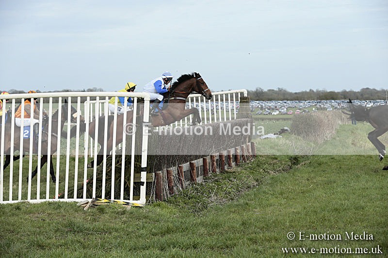 PtP 230319 254 - VWH Hunt Siddington Point-to-Point Racing 23/03/19