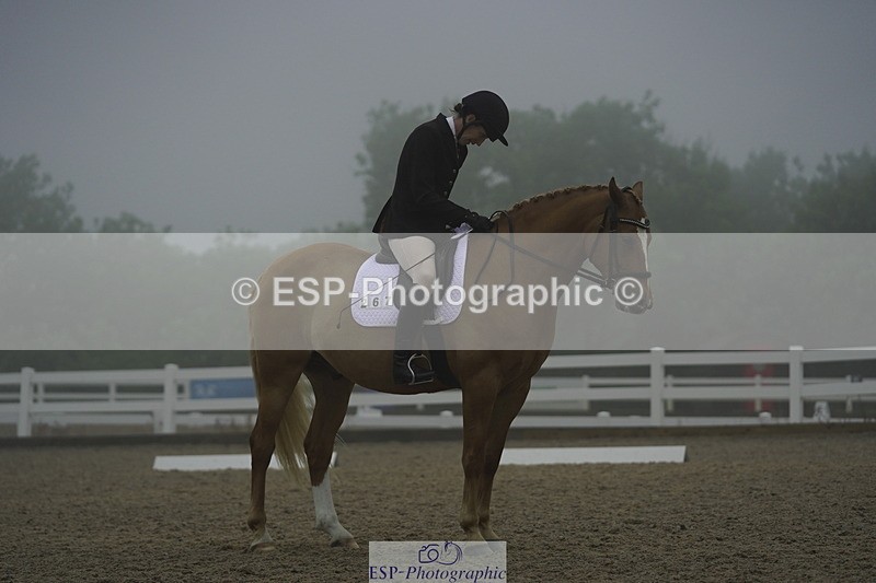 230708A-150312-03977 - Prelim 18