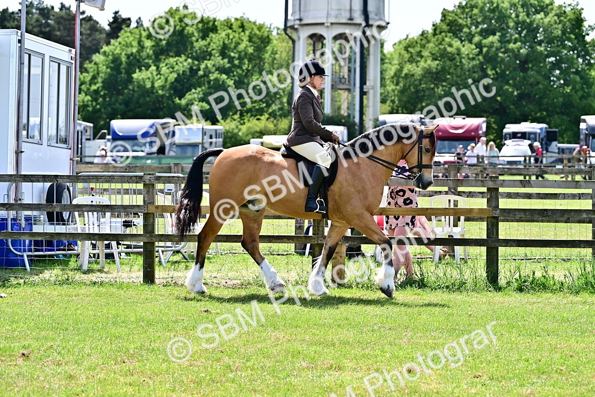 SBM_07869 - Class 61-62 - TSR  M&M Ridden Amateur of the Year
