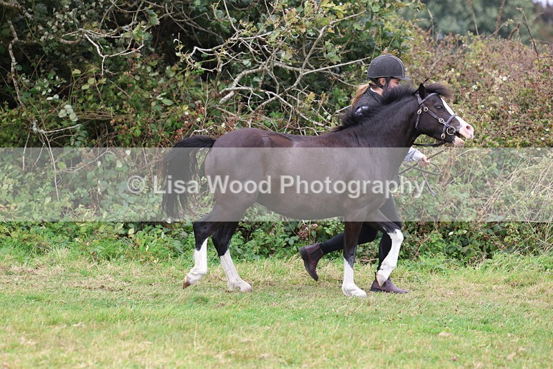 3E7A4332 - Class 15: Three Year Olds