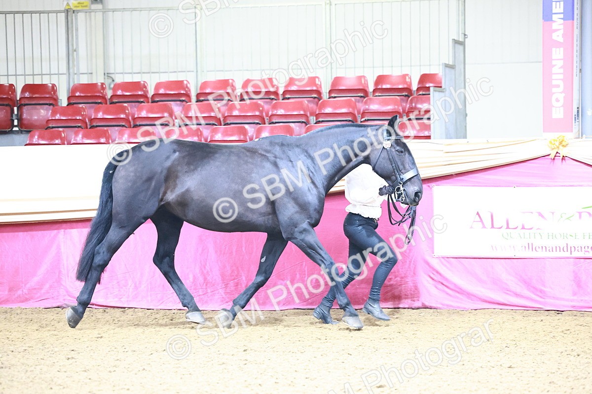 SBM_21634 - Class 901 - Supreme Final - IH  Diamond