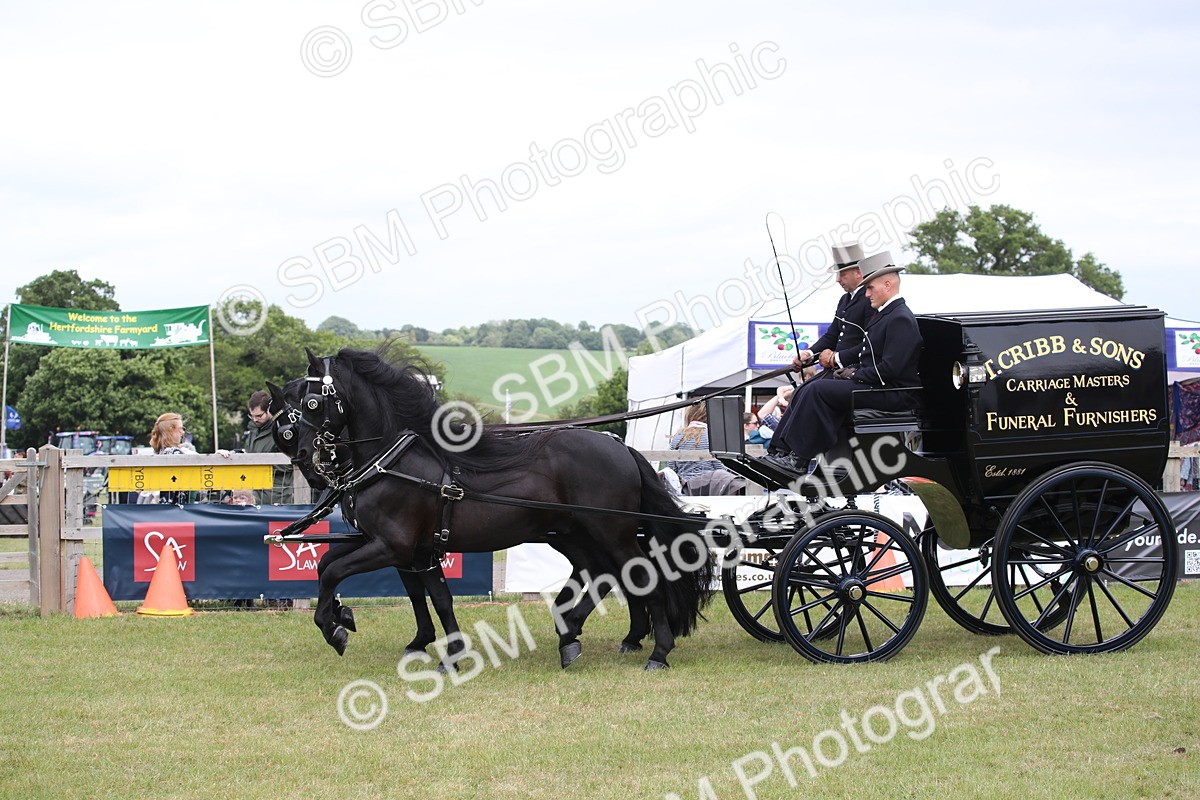 SBM_07008 - Class 16 - Light Trade