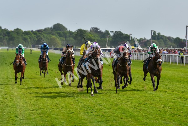 270523-Race 6-Quantum Impact-4543 - Race 6 4.25pm Royal Yorkshire Regiment Handicap