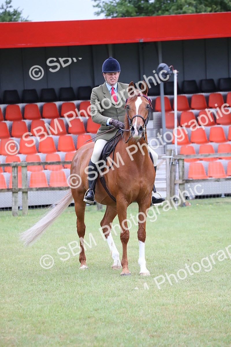 SBM_03644 - Class 21 - 22 - Ridden Arab and Part Bred/Anglo Arab