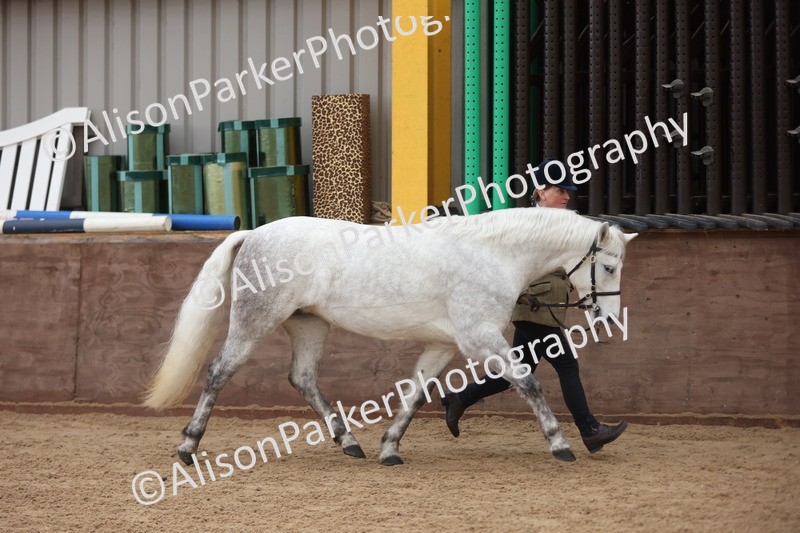 20251109-0893 - Class 26 - 2 and 4 Year Olds