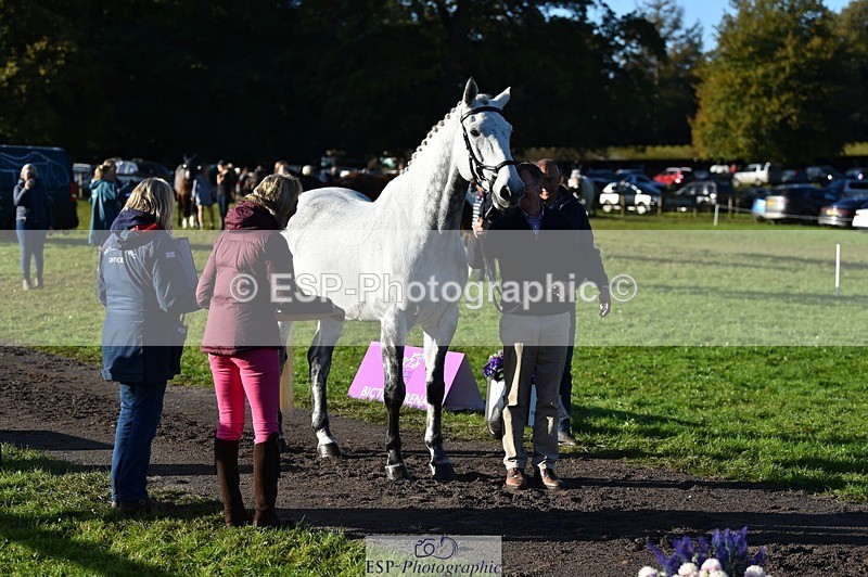 231022-094758-22033 - 463-HOLOGRAM.SCAIS-Chris.Brentnall-TrotUp+SJ