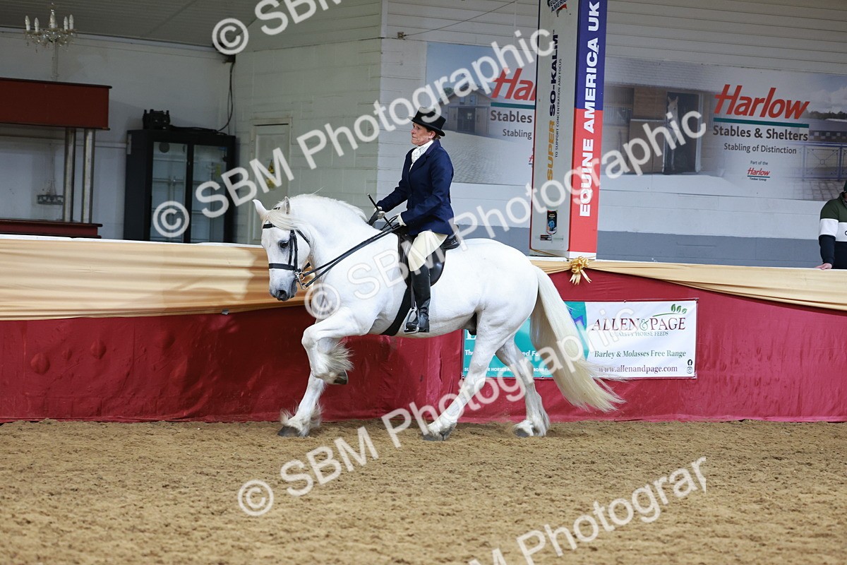 SBM_18597 - Class 952 - M&M Ridden Supreme Final