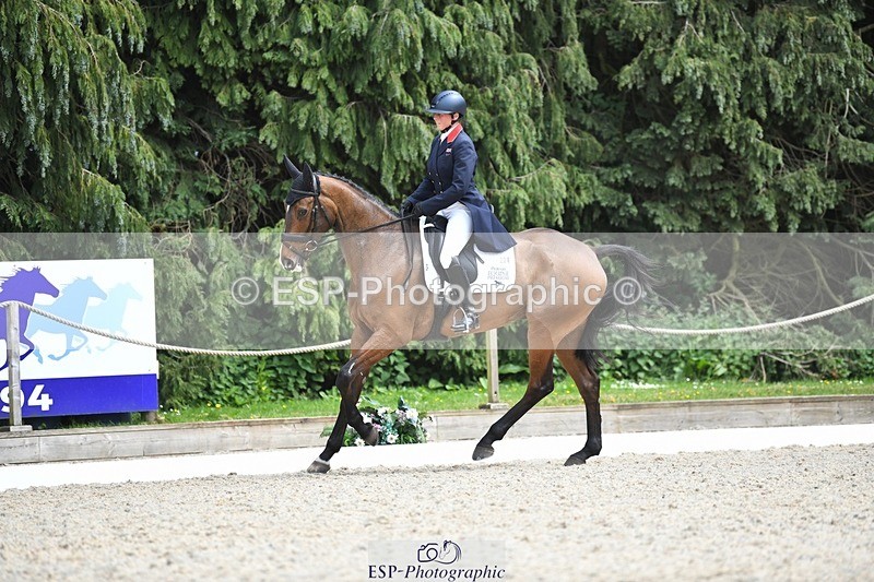 230525-150621-03191 - 324-DRUMGIVEN_MR_CHARISMA-Jeanette_Brakewell-WEDTrotUp+DR