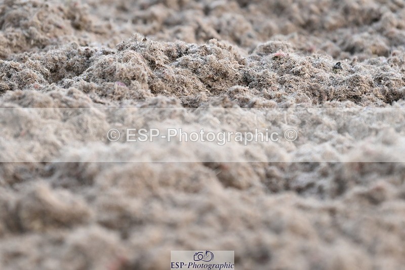 240622A-083203-07221 - Cls 1 Intro A