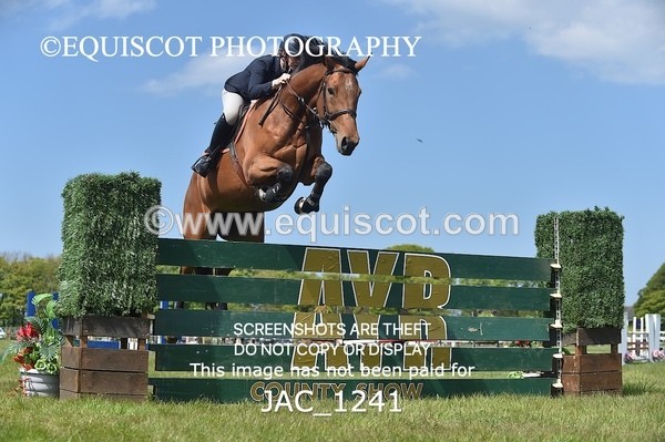 JAC_1241 - CLASS 3 Andrew Hamilton Coach, RHS Foxhunter Championship Qualifier