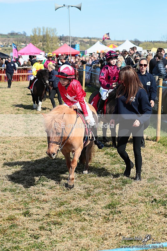 Shet 060426 67 - Shetland Pony Racing Paxford Races Easter Mon 06/04/26