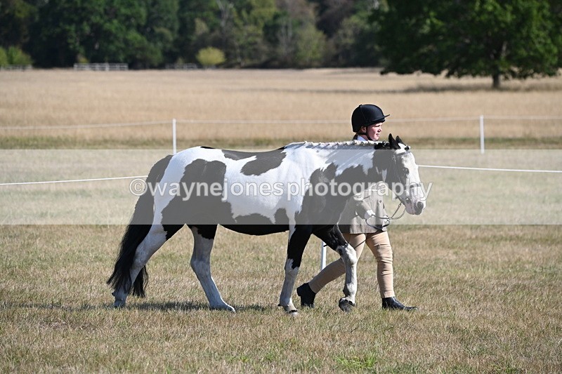 WJ6_7178 - Class 33 Rescue Pony