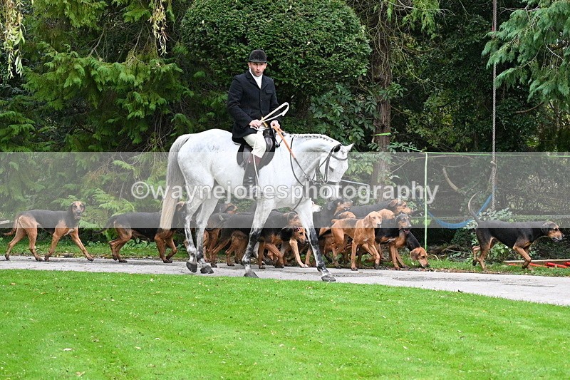 WJ7_6472 - Berks & Bucks - Children's Meet - The Old Farmhouse – Steventon.
