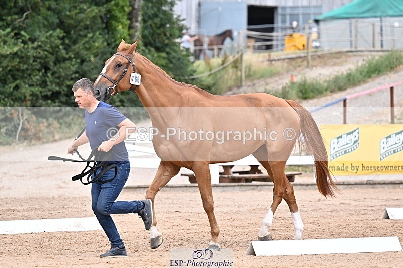 250716-134740-00669 - Trot Up 1.30 to 2.30