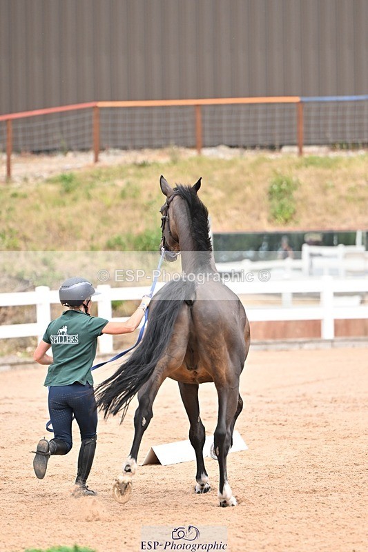 250716-143911-01258 - Trot Up 2.30 to 3.30