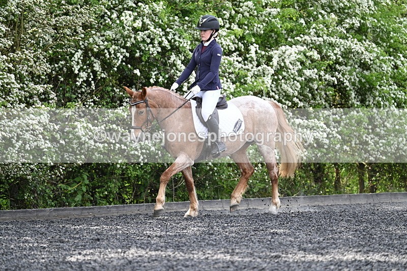 WJ7_8093 - Time 10:11 to 10:27