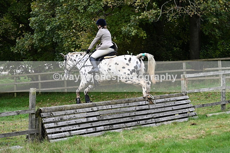 WJ7_4739 - Camera 1 Line 3