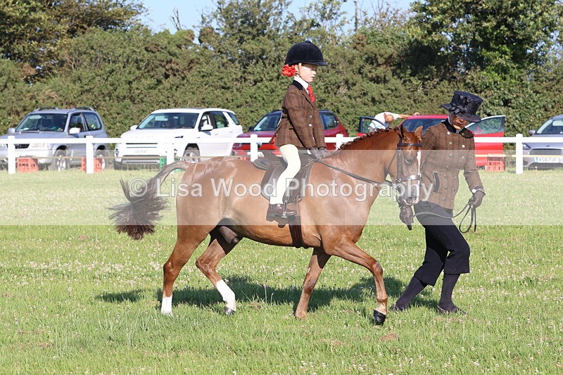JPP_0782 - Class 16: Cornish Combination Leading Rein