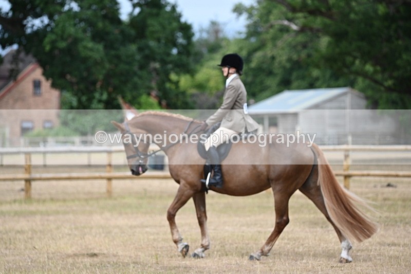 WJ6_7365 - Class 9 Tack and Turnout