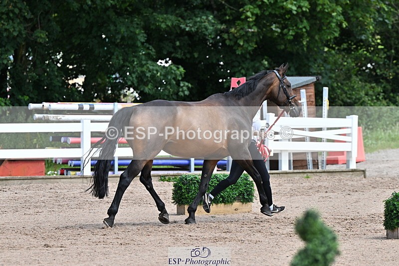 240718A-105250-01225 - Trot Up 12pm to 1pm