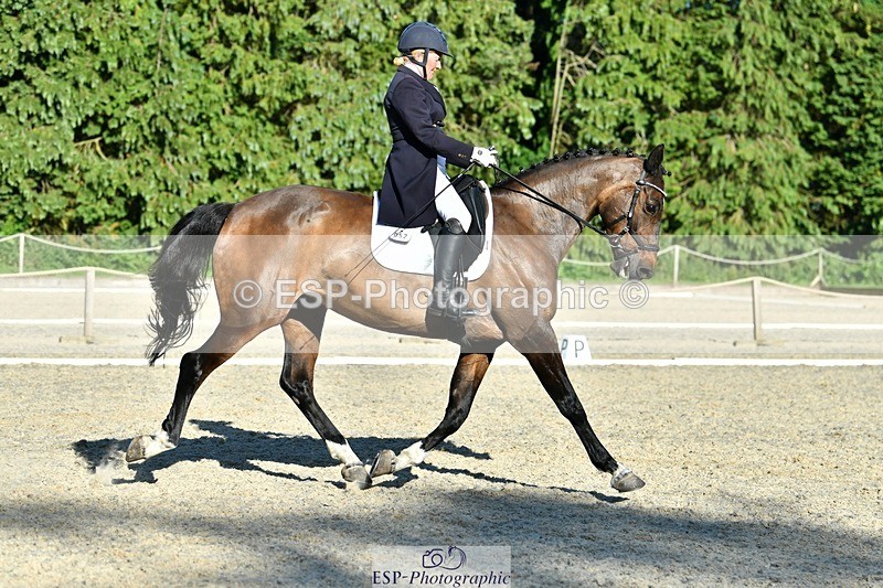 230623-182729-03262 - Cls 11 FEI PSG