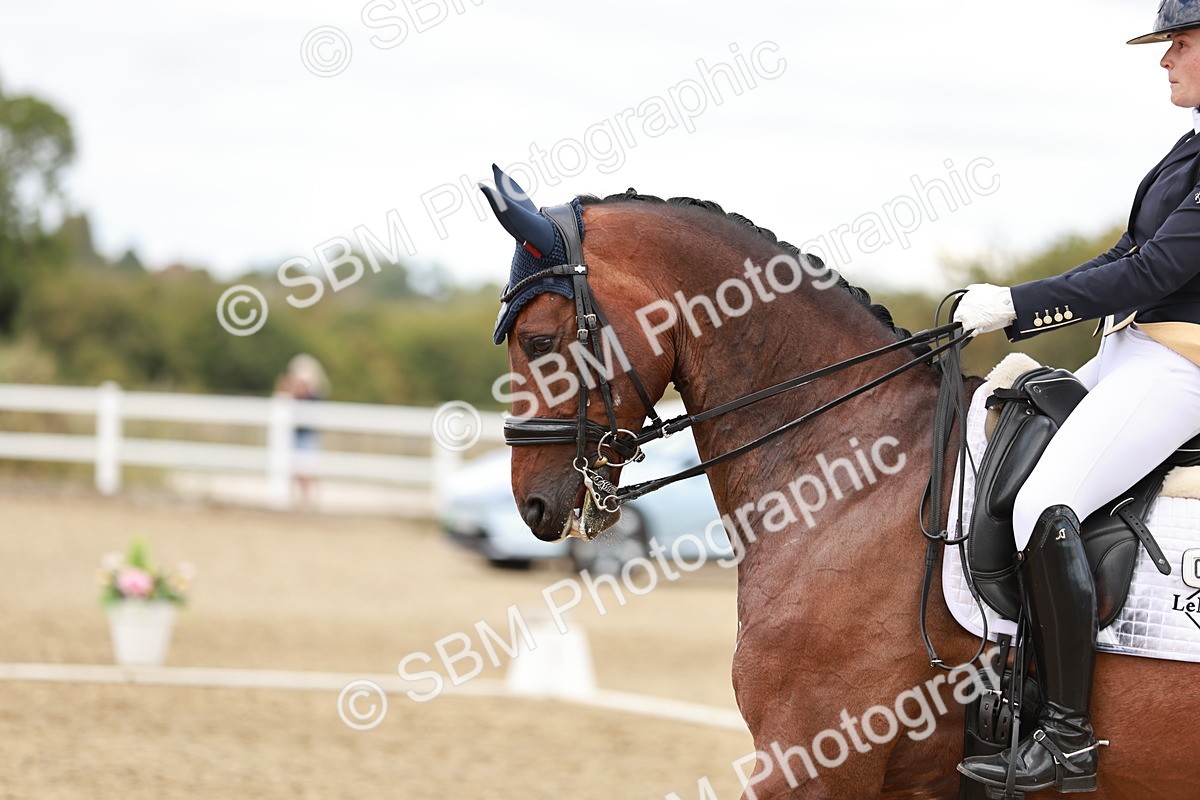 SBM_005561 - Class 5 - FEI PSG - 13.54.14.58