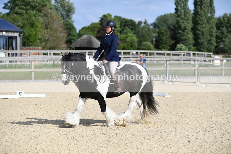 WJ5_7703 - Time 16:40 to 16:55