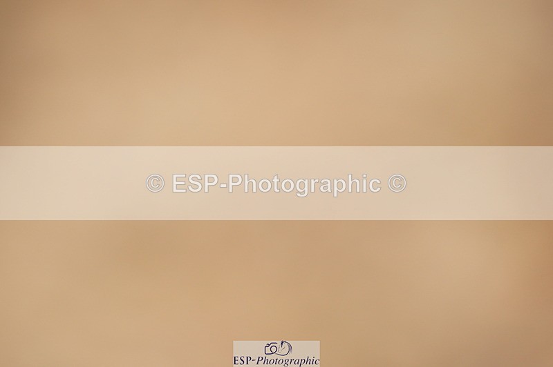 240317A-155620-07878 - Cls 29 Snr Foxhunter