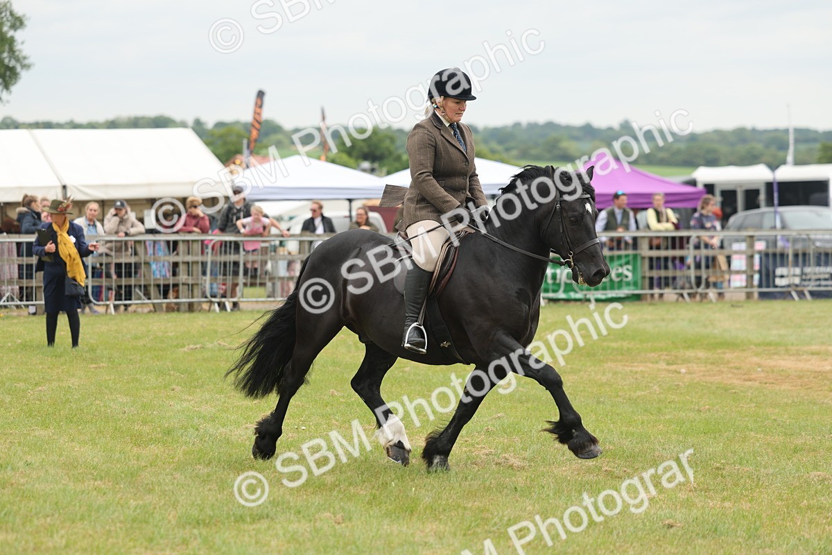 SBM_07200 - Class 76-77 - Ridden M&M Welsh Ponies