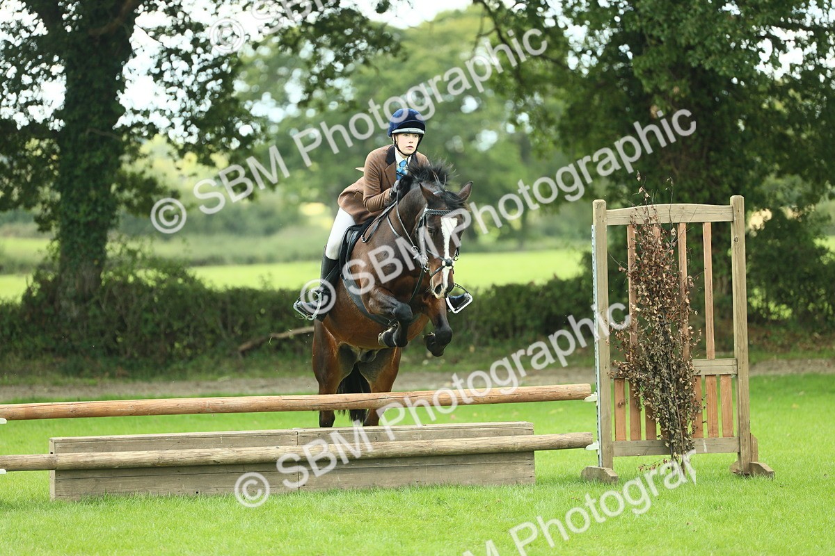 SBM_43007 - S30 - M&M Working hunter Pony