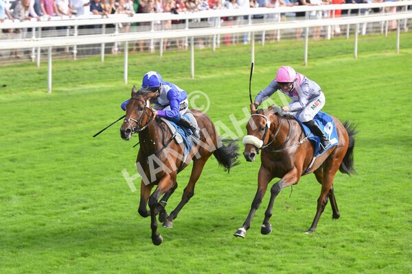 yr05092021r4-24 - Race 4 3.45pm Coopers Marquees British EBF Future Stayers' Novice Stakes