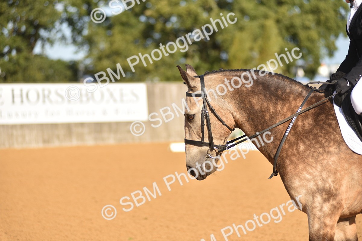 SBM_15768 - D4 - Small Tour Championship Intro 4