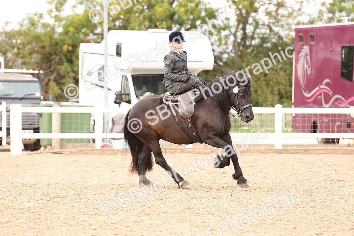 SBM_16399 - Class 211 - Best Side Saddle Horse - Pony