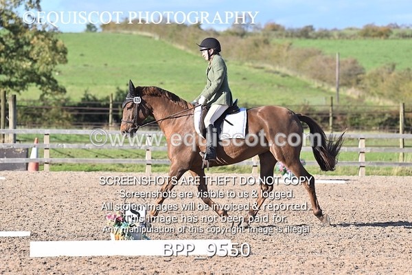 BPP_9550 - SHORT ARENA