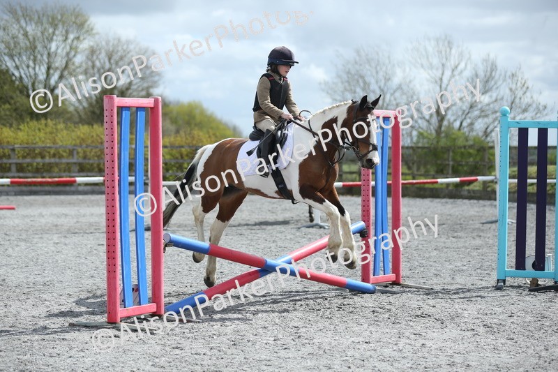 20260412-0723 - Show Jumping