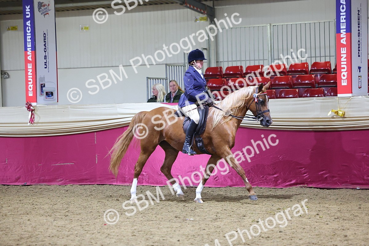 SBM_19068 - Class H Foreign Breeds Champ