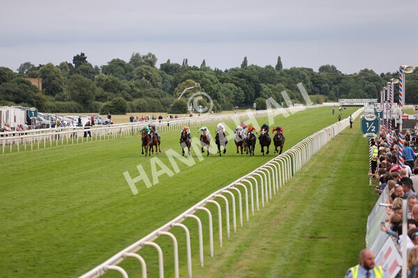 yr23072021r5-14 - Race 5 8.00pm Gallop Racing Stakes