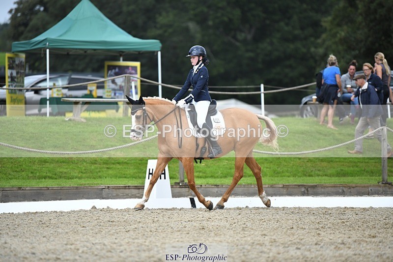 230812-123841-04168 - Cls 6 Novice Silver 12.10 to End