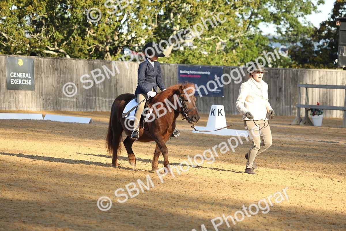 SBM_33629 - D26 - Starers - Lead Rein