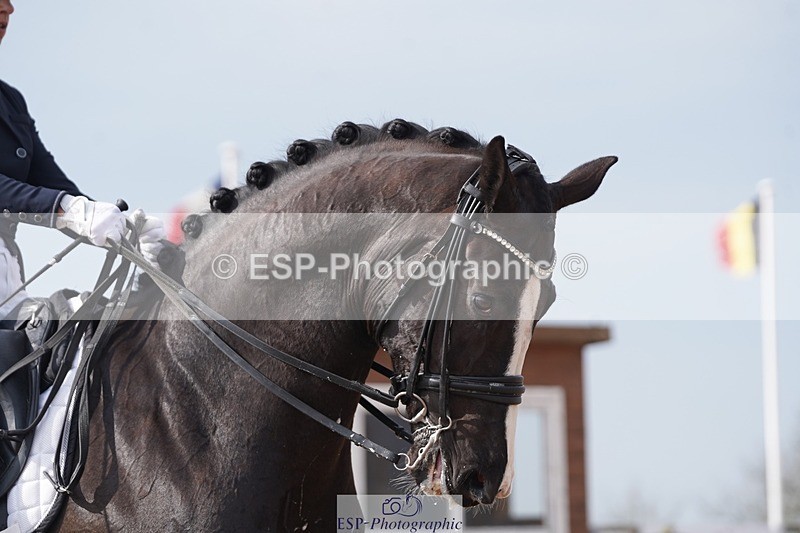 250404-103756-04347 - 016-Sarah.Millis-Le.Zorro.BH