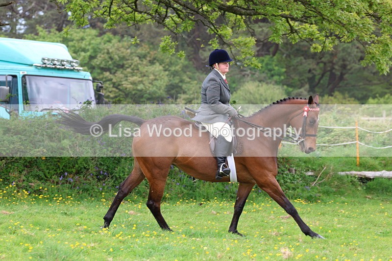 3E7A1771 - Class 9: Riding Club Horse/Pony