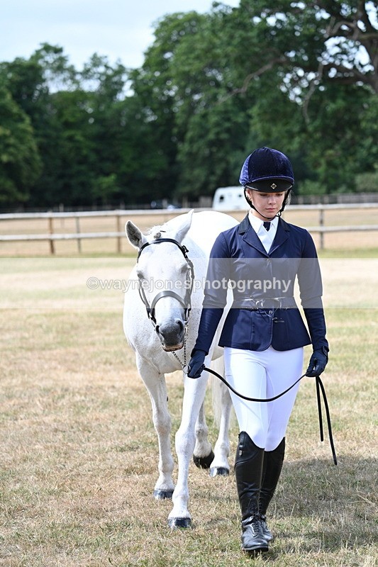 WJ7_1595 - Class 4 Prettiest Mare up to 14.2hh in hand