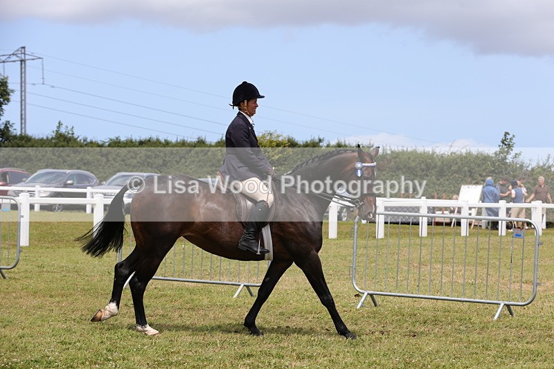 1X9A4381 - Class 34: Veteran Ridden